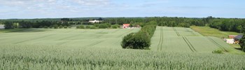 Pladserne til landboforeningens Planteseminar blev revet væk