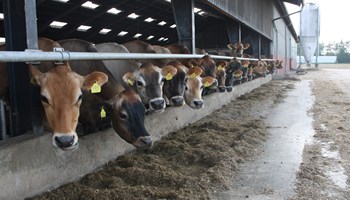 Årsmøde i Kvægbrugsudvalget