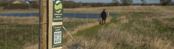 Ny ansøgningsrunde: Få støtte til skovrejsning på din jord